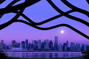 乐鱼体育直播在线-球员职业规划缺失，职业球员的素养