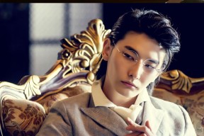 乐鱼体育网页登录-英超终场哨声：逆转奇迹震撼全场，英超名哨