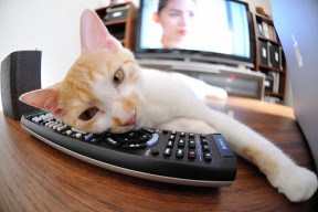 乐鱼体育官网注册-德甲攻守结合：节奏快、变化多！，德甲进攻型球队