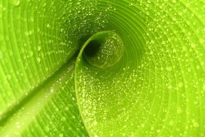 乐鱼体育网址-“埃尔斯·霍斯特出色表现，成为南非队的支柱”