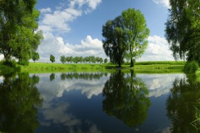 乐鱼体育下载入口-欧洲杯战术升级：新布局带来新奇迹！，欧洲杯技术