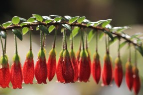 乐鱼体育-德甲赛场盛宴：攻防转换间的精彩佳作，德甲防守最好的球队