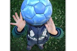 乐鱼体育网址入口-四国蝶泳中段划水效率图首次曝光，蝶泳国际比赛视频