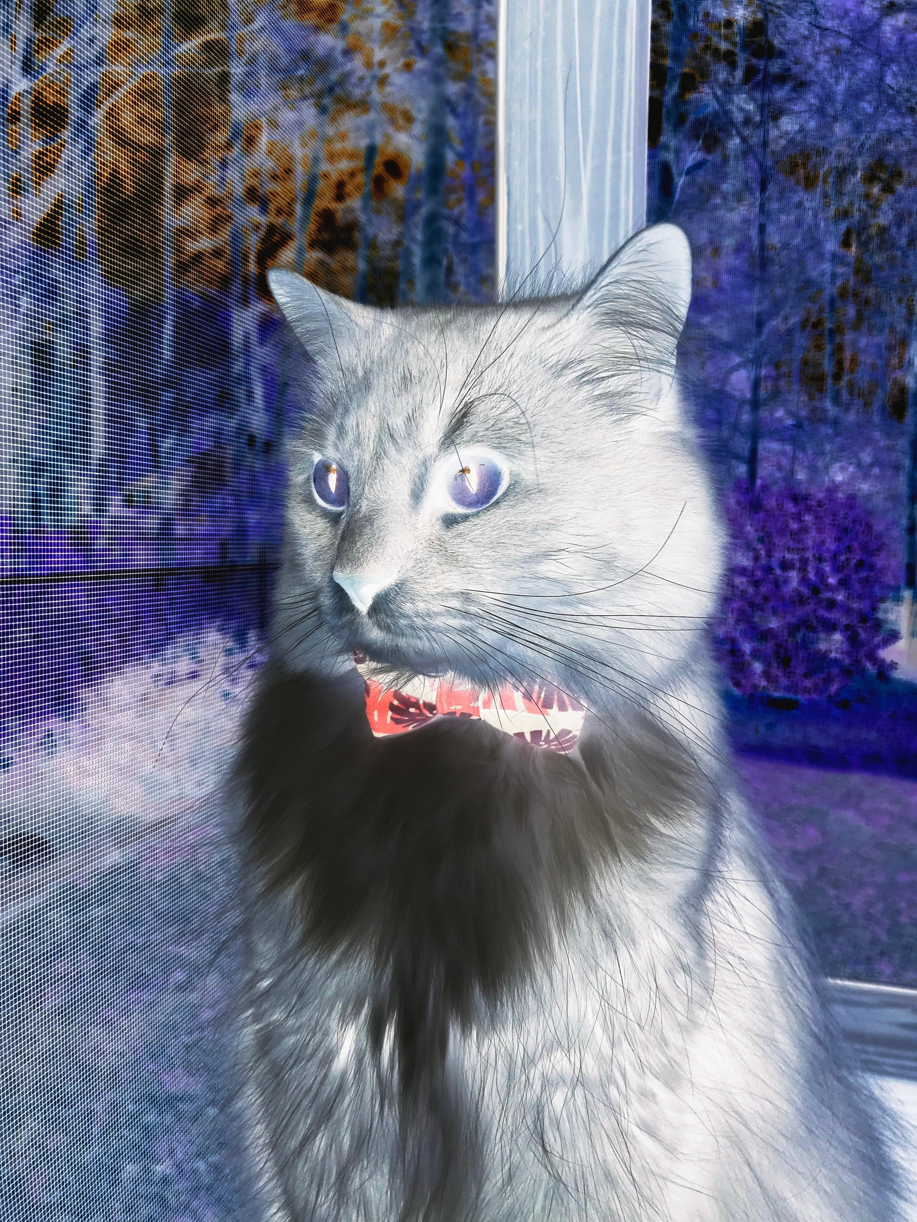 俱乐部“梦之队”：本季组建的最佳阵容盘点