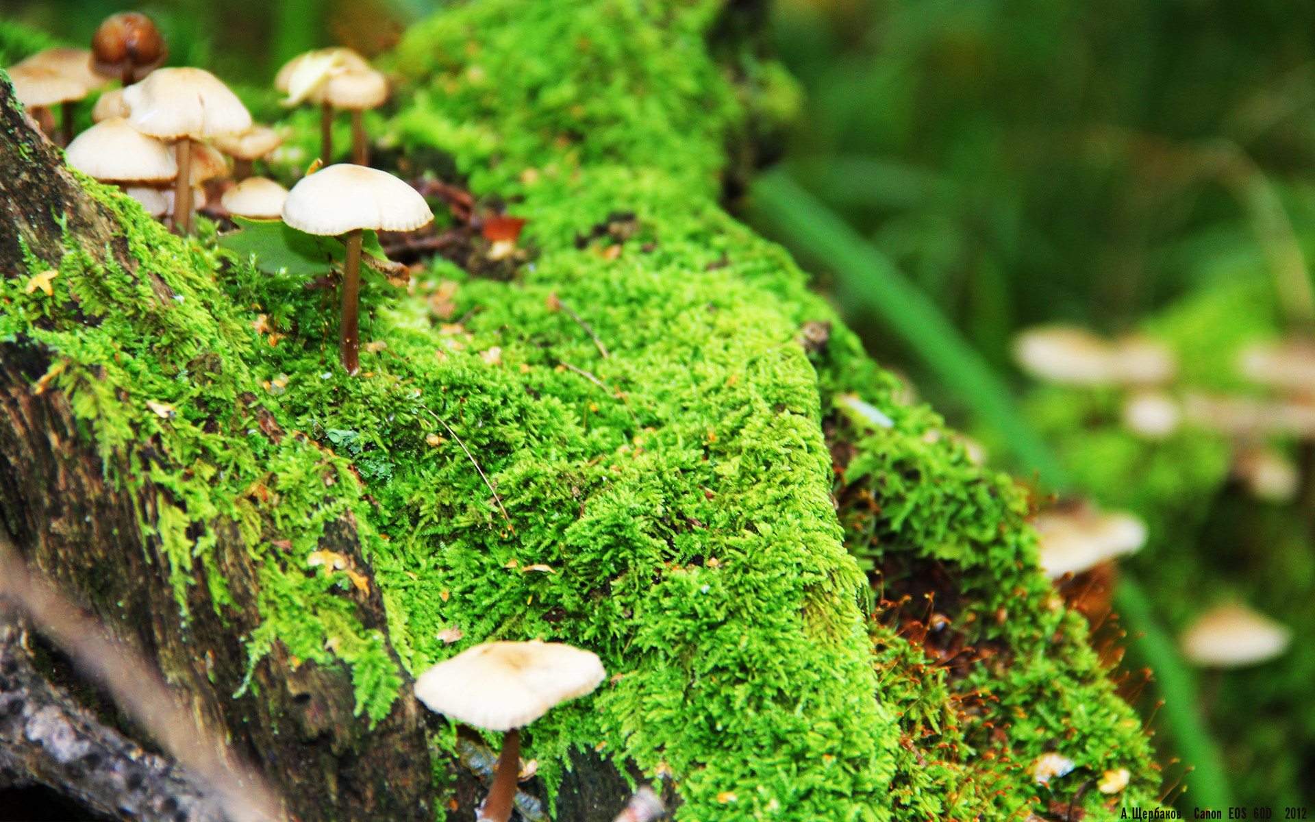 3×3 球队年轻阵容展现高竞争潜力，2020足球年轻球员最佳阵容