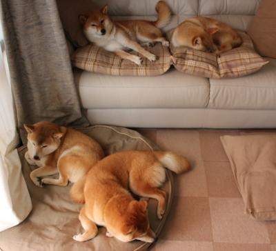 加拿大队赛制剖析：如何根据赛制特点提高球员配合与默契，加拿大足球联赛