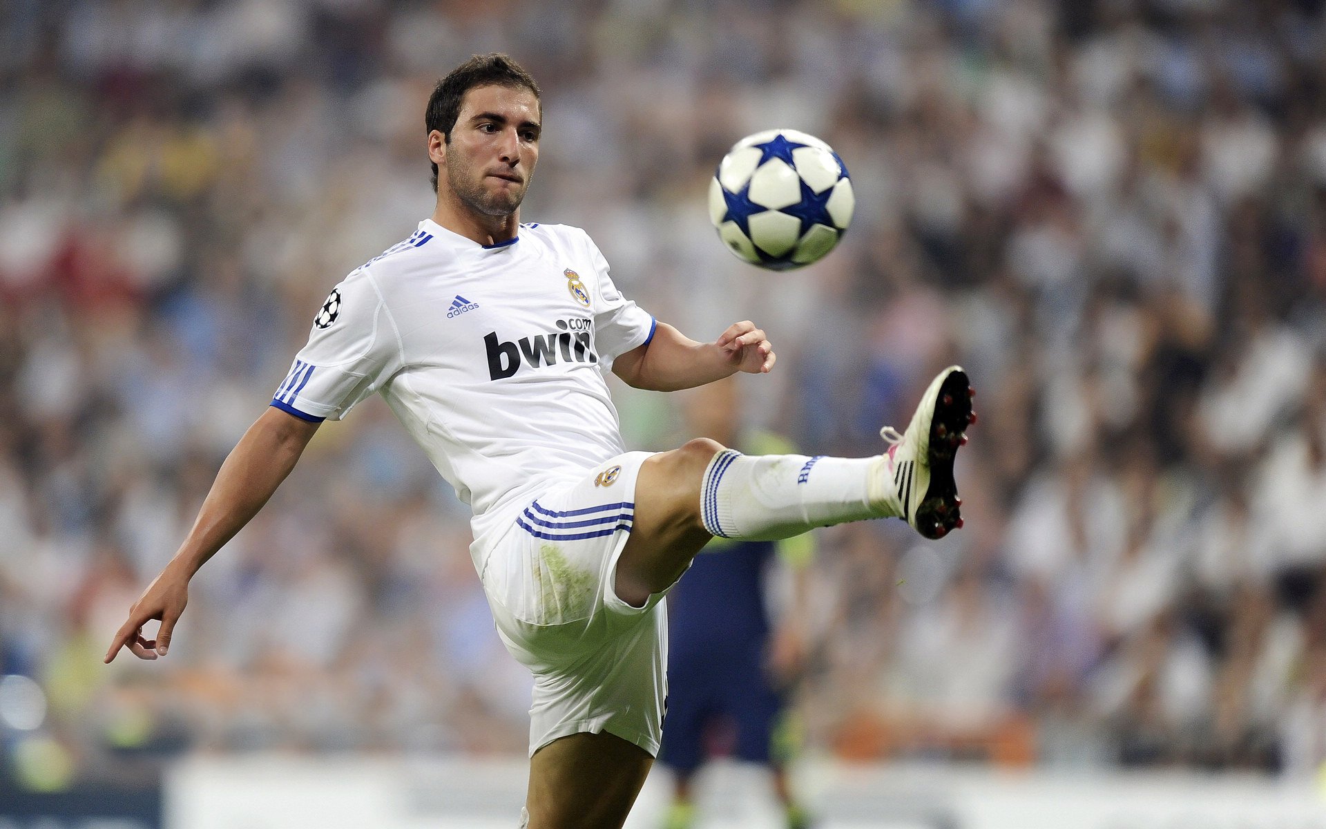 “马科斯·莫奇的防守技术与战术洞察力，成就阿根廷美洲狮队的核心力量”