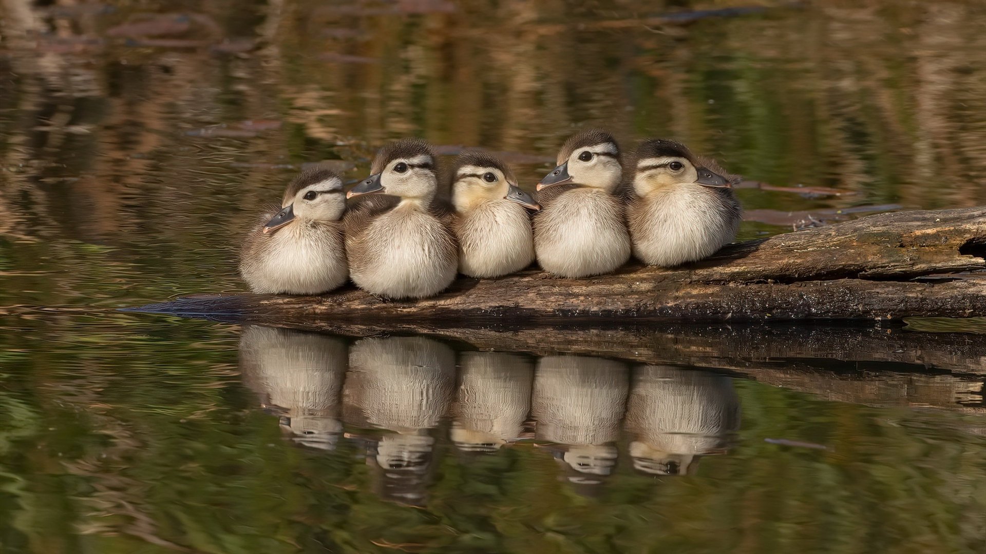 体育新闻中心通报校园体育场地安全排查阶段结果,体育场地安全隐患报告