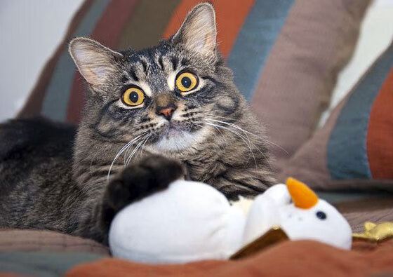 奇才通过快节奏掌控上半场主动权，奇才通过快节奏掌控上半场主动权的球员