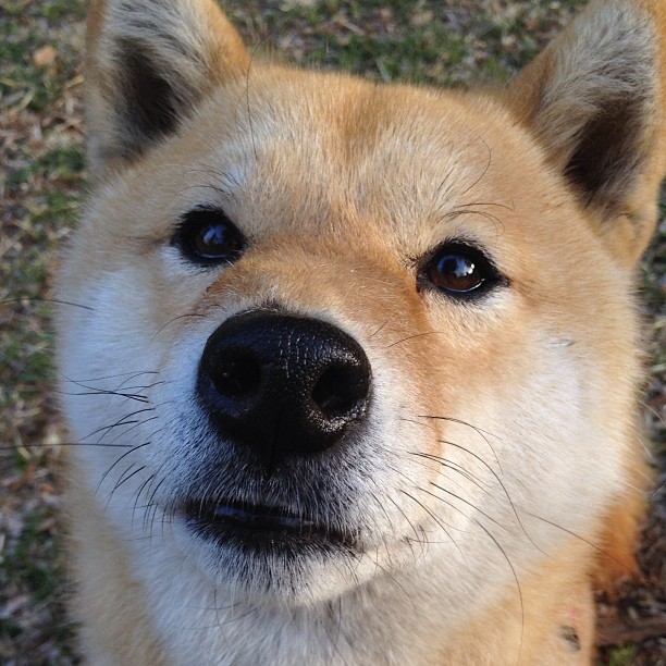 法国队接力配合默契展现实力，法国队接力配合默契展现实力的球员