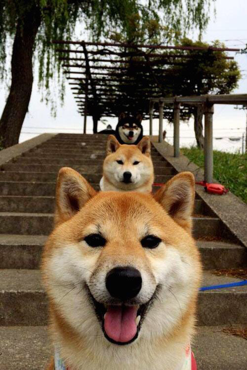 英超终场哨声:逆转奇迹震撼全场,英超名哨